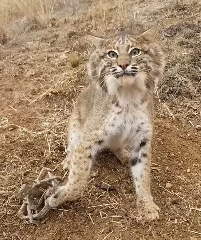 H2801006 Suffering quietly, with no voice to ask for help