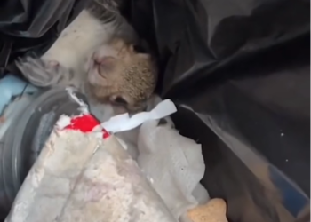 H2801010 Behind these eyes is a story no one wanted to hear