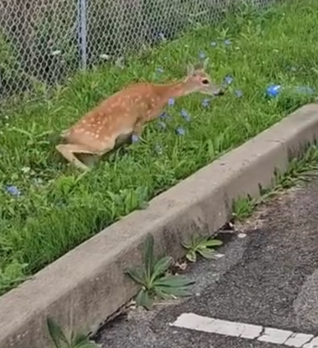 H2801003 This is what abandonment really looks like